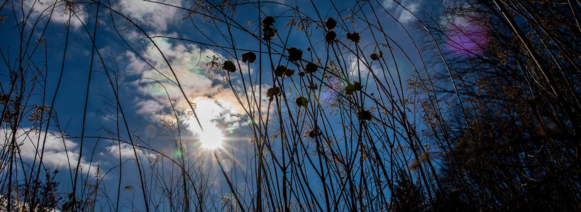 Prairie autumn