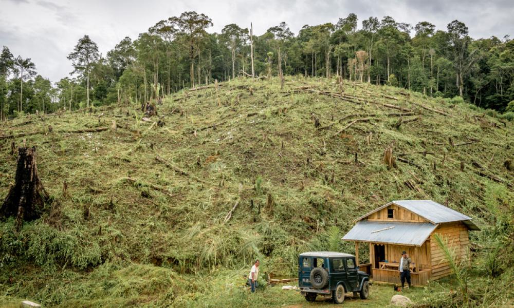 Hill depicting deforestation