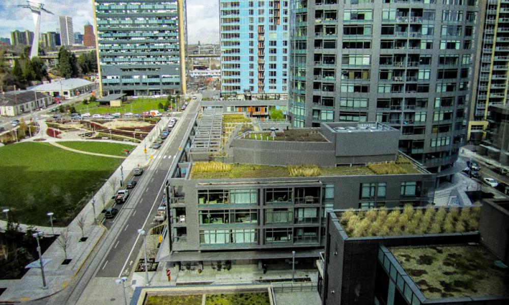 Green roof view PDX