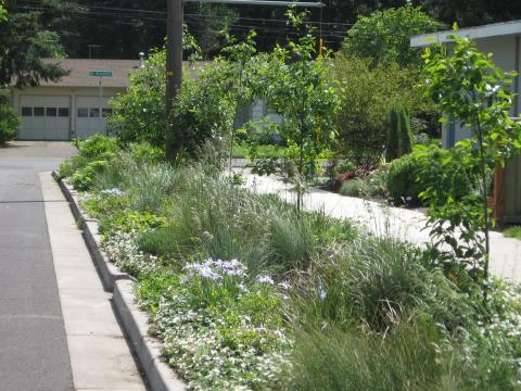 Green streets