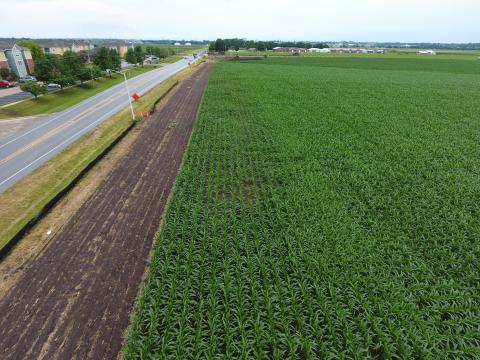 Farm road Champaign