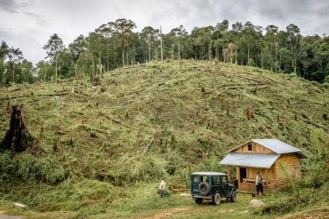 Hill depicting deforestation