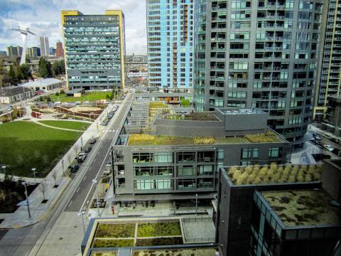 Green roof view PDX