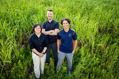 three researchers posing for a photo while standing in the middle of tall grasses